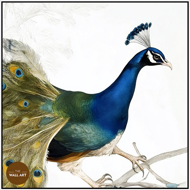 images/products/peacock_on_branch/peacock_on branch_WHITE.jpg